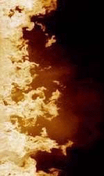 backflamesleft.gif (25717 bytes)